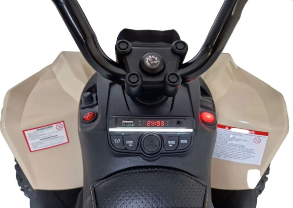 Kinder Elektroquad CAN-AM Renegade