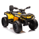 Kinder Elektroquad CAN-AM Outlander 24 V